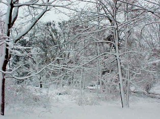 20051126171014-nieve.jpg