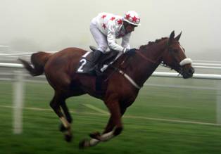 20051219013512-caballo.jpg