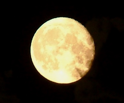 20060612025623-lunallena.jpg