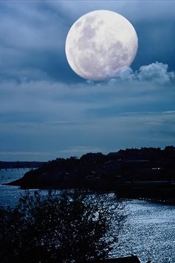 20060813200503-luna.jpg