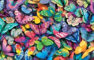 20060824084234-butterflyrepeat.jpg